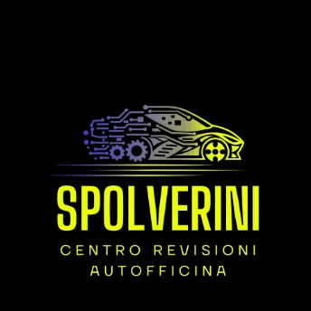centrorevisionispolverini